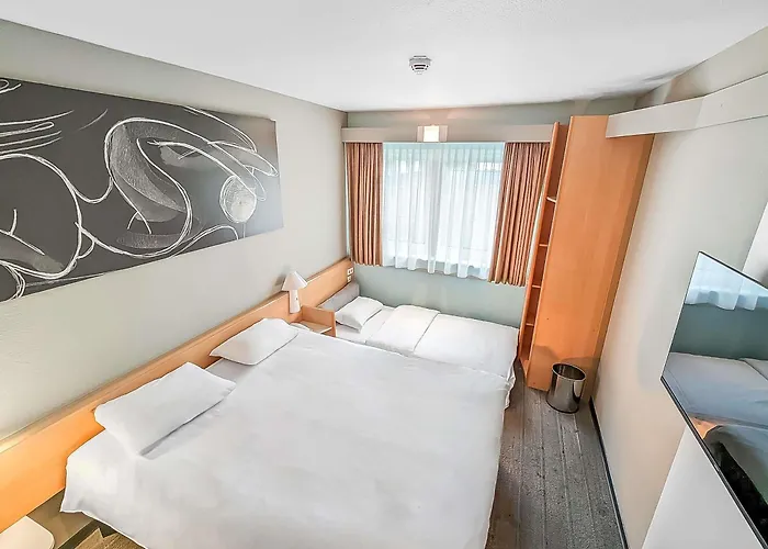 Ibis 3*
